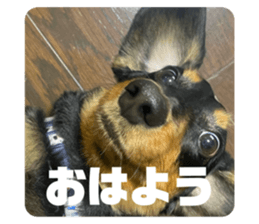 822432641