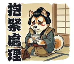 822433214