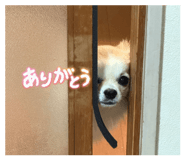 822433443