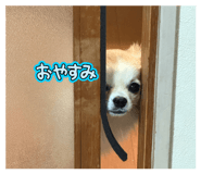 822433444