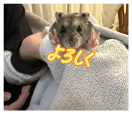 822436503