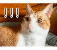 822437834
