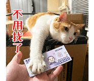 822437835