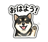 822489985
