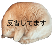 822490819