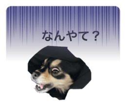 822491669