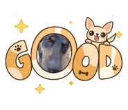 822503871
