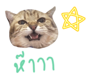 822504215