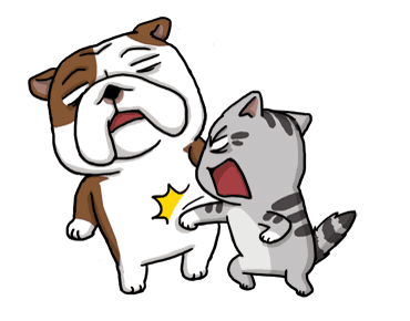 ลายที่ 6