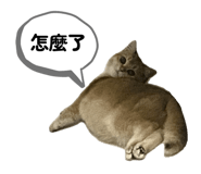 822510886