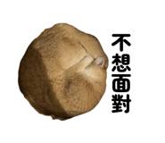 822510898