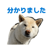 822554811