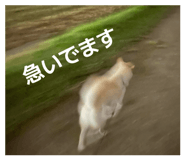 822554832