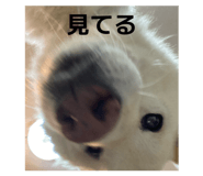 822554834