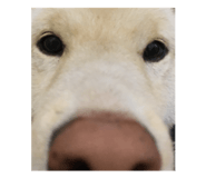 822554848