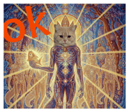 822560095