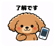 822560596