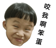 82257394