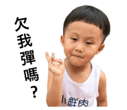 82257404