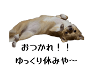 822584100