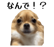 822584112