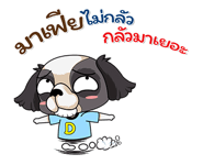 82260605