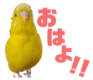 822615431