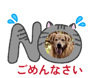 822623053