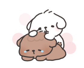 คอตตอนบ๊อก 22