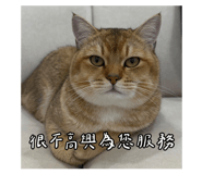 822669350