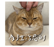 822669357