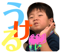 82267065