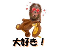 822693381