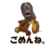 822693382