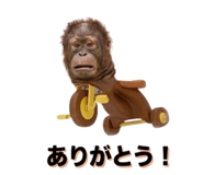 822693383