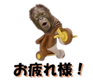 822693384