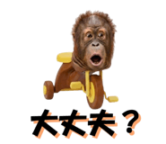 822693388