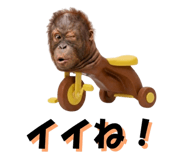 822693389