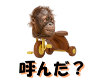 822693399