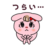 822699555