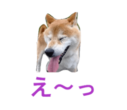 822710166