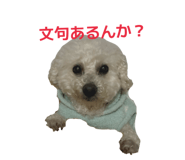 822718760