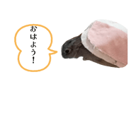 822720225