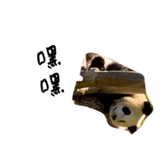 822724442