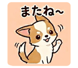 822726206