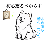 822753525