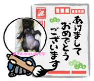 822753749