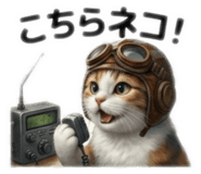 822784700