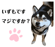 822787401