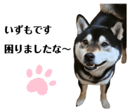 822787402